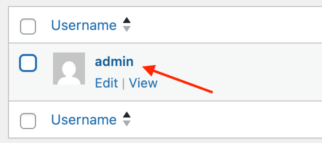 Click on the Admin user to open their profile